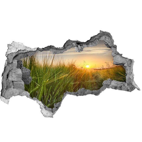 Hole in the wall decal Sunset over the meadow