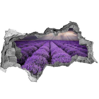 Hole in the wall decal Lavender fields in the light of the setting sun