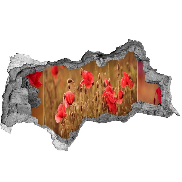 Hole wall sticker Flowers among the ruined wall