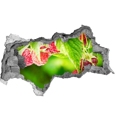 Hole in the wall sticker Raspberries in the garden