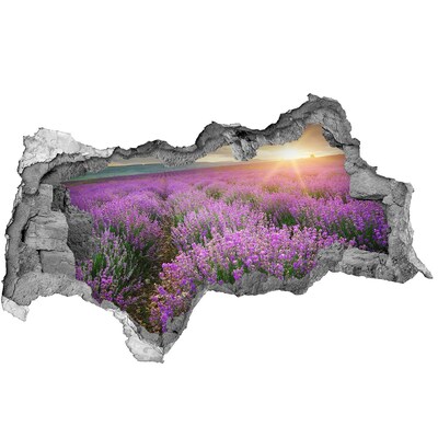 Hole in the wall decal Lavender field at sunrise