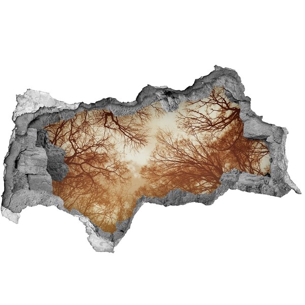 Hole in the wall decal Reflection of trees in a ruined wall