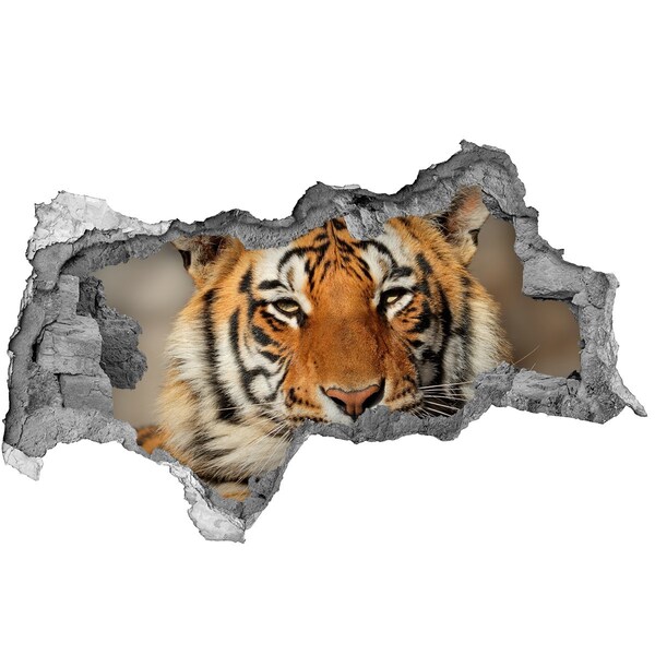 Hole wall sticker Tiger in a Hole in the Wall