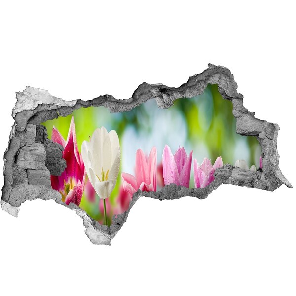 Hole in the wall decal A flower paradise behind the wall