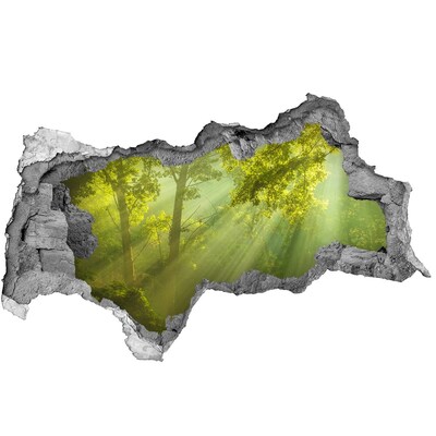 Hole in the wall sticker Green forest with sun rays