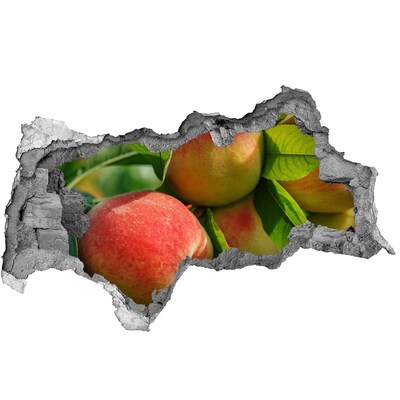 Hole wall sticker Apple orchard