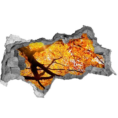 Hole in the wall sticker Golden autumn behind the wall