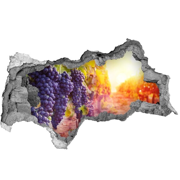 Hole in the wall decal Grape paradise in the morning