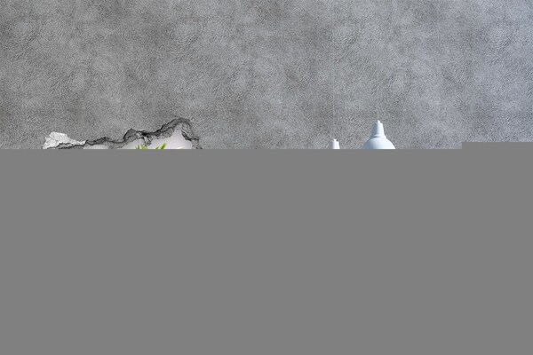 Hole in the wall sticker A flower paradise behind the wall