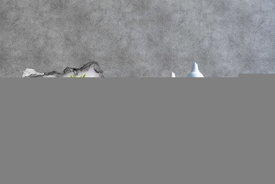 Hole in the wall sticker A flower paradise behind the wall