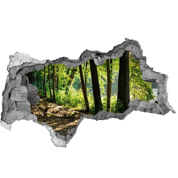 Hole in the wall sticker Green forest by the river