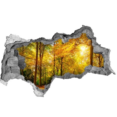 Hole wall sticker Autumn in the forest