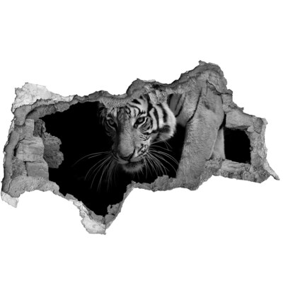 Hole in the wall sticker Tiger in a Hole in the Wall