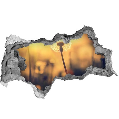 Hole in the wall decal Dandelion flower in the sun's rays