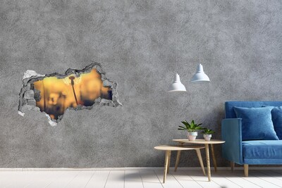 Hole in the wall decal Dandelion flower in the sun's rays