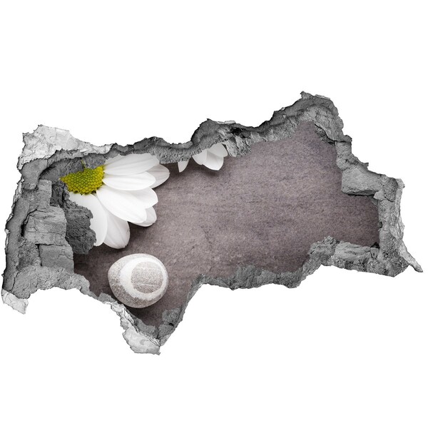 Hole in the wall sticker A floral dream in concrete