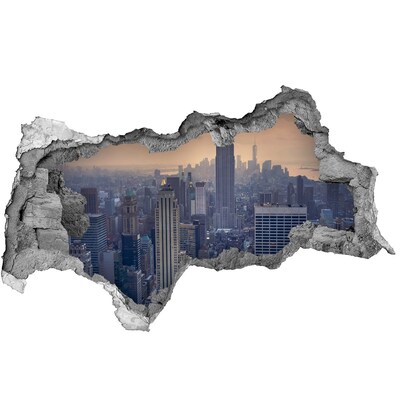 Hole wall sticker View of New York