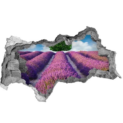 Hole wall sticker Lavender field behind the wall