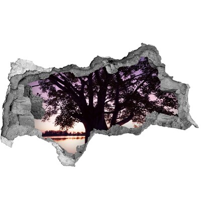 Hole in the wall decal Sunset behind the tree