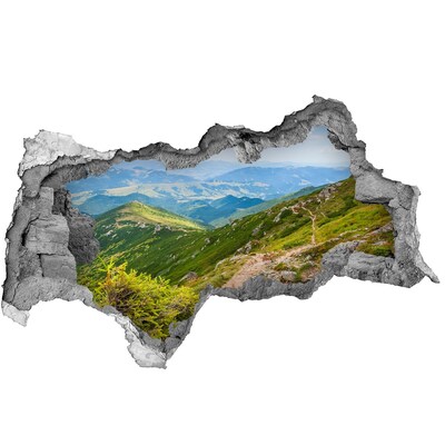 Hole wall sticker Mountain landscape with a path
