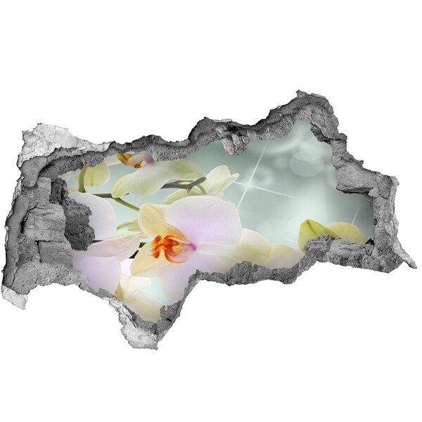 Hole in the wall decal Flowers in concrete