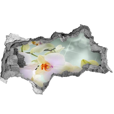 Hole in the wall decal Flowers in concrete