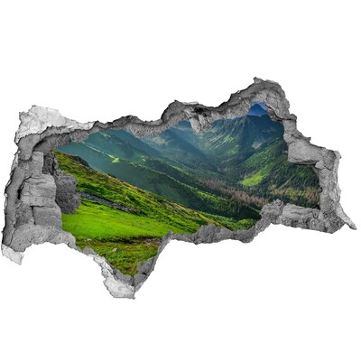 Hole in the wall sticker A green valley in the mountains
