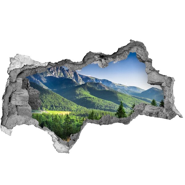 Hole wall sticker Mountain landscape through a hole in the wall
