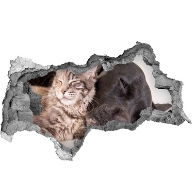 Hole wall sticker A sweet moment of friendship