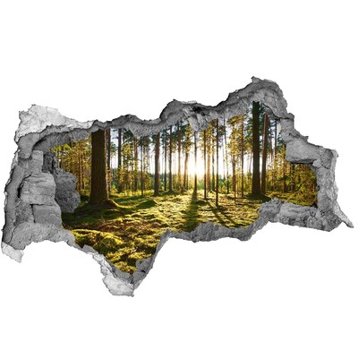 Hole in the wall sticker Forest glade in the morning