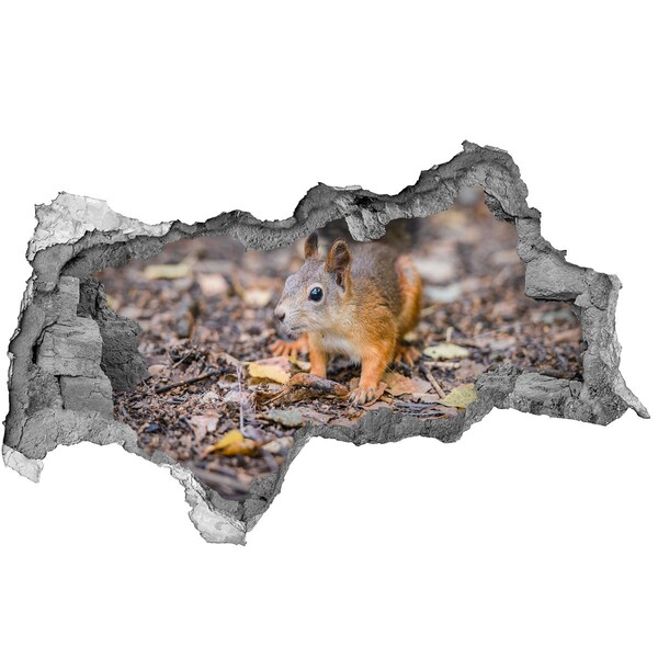 Hole wall sticker Squirrel in the forest
