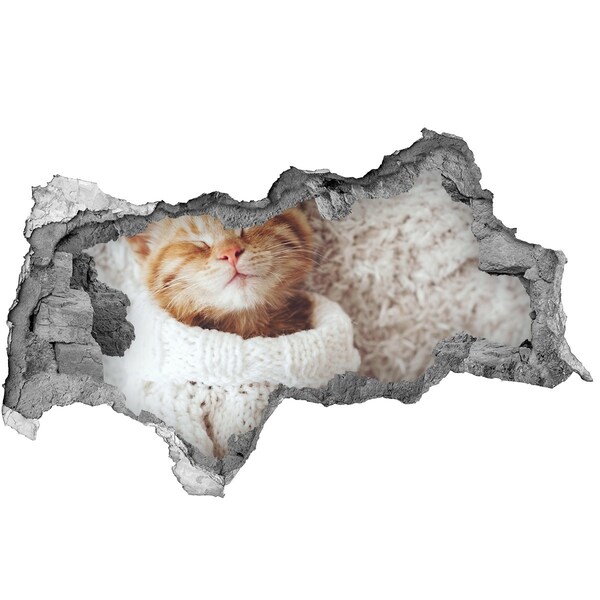 Hole in the wall sticker Cute cat in a sweater