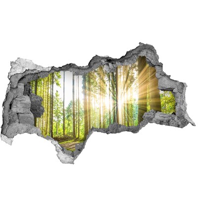 Hole in the wall decal Forest glade in the sunshine