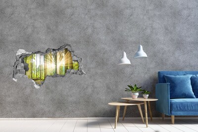 Hole in the wall decal Forest glade in the sunshine