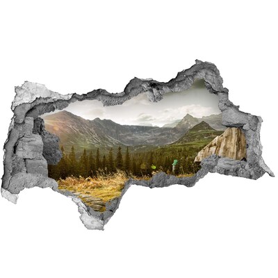 Hole in the wall decal Mountain landscape through a hole in the wall