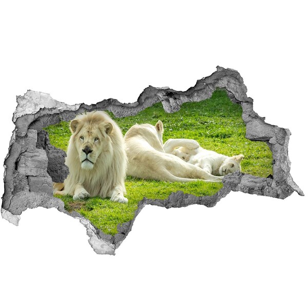 Hole in the wall sticker White lion in its natural habitat