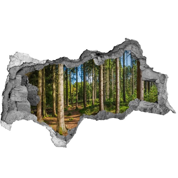 Hole in the wall sticker A forest path in the thicket of trees