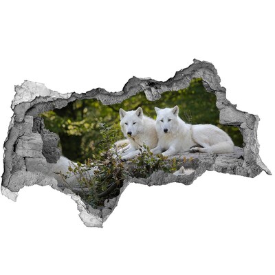 Hole wall sticker Arctic Wolves in a Natural Habitat
