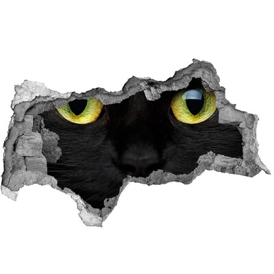 Hole wall sticker Black cat through a hole in the wall
