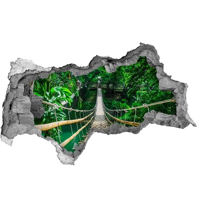 Hole in the wall sticker Bridge in the jungle