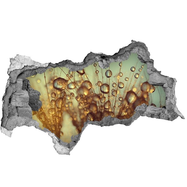 Hole in the wall decal Drops on delicate hairs