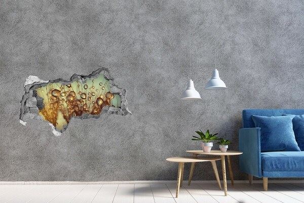 Hole in the wall decal Drops on delicate hairs