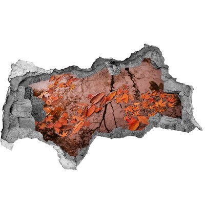 Hole in the wall sticker Autumn water surface