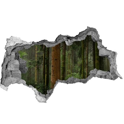 Hole in the wall decal Green Forest in a Hole in the Wall