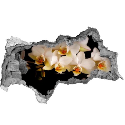Hole in the wall decal Orchid flowers in the ruins