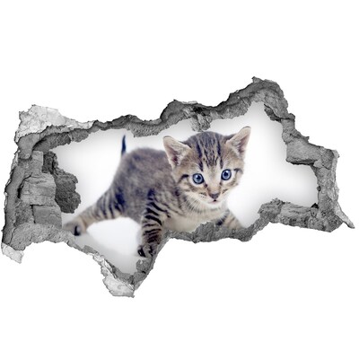 Hole in the wall sticker Kitten in a hole in the wall