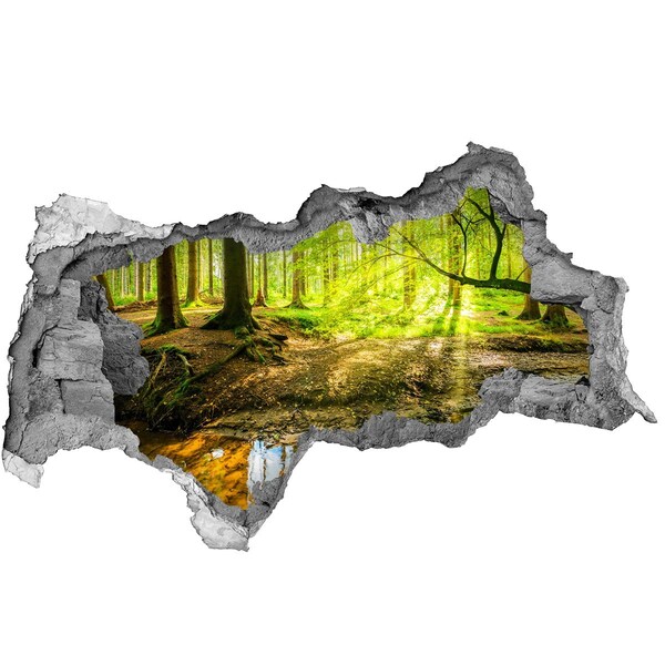 Hole in the wall decal A forest oasis of peace