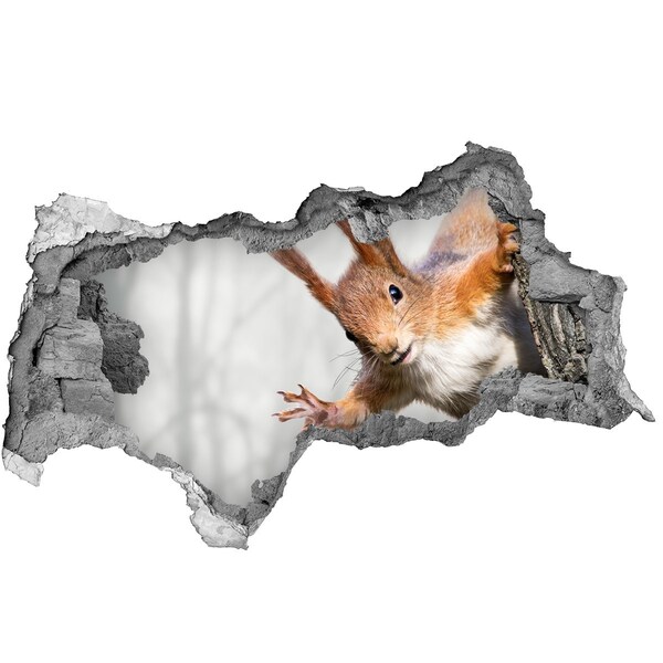 Hole in the wall decal Squirrel in action