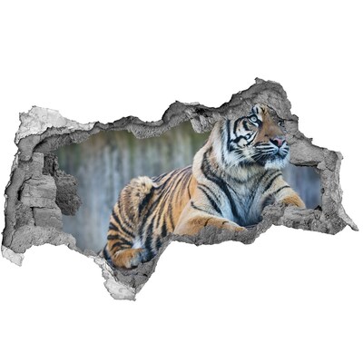 Hole wall sticker Tiger in the wild