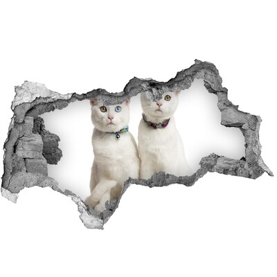 Hole wall sticker Two white cats in a hole in the wall